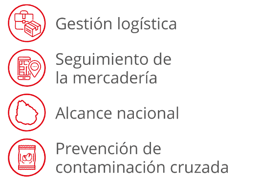 Servicios Servicios